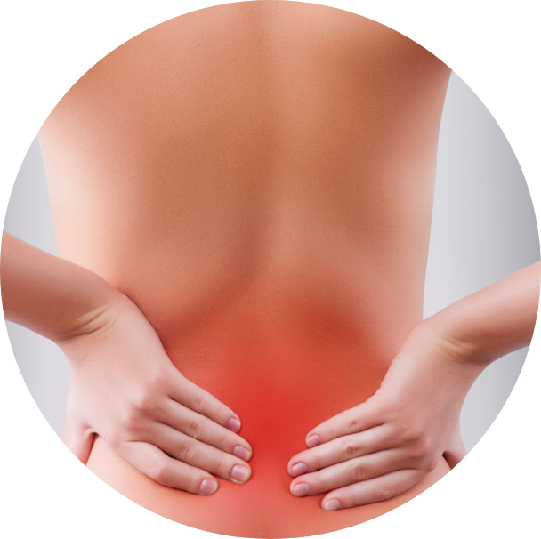 Amedial Plus - rigidez articular