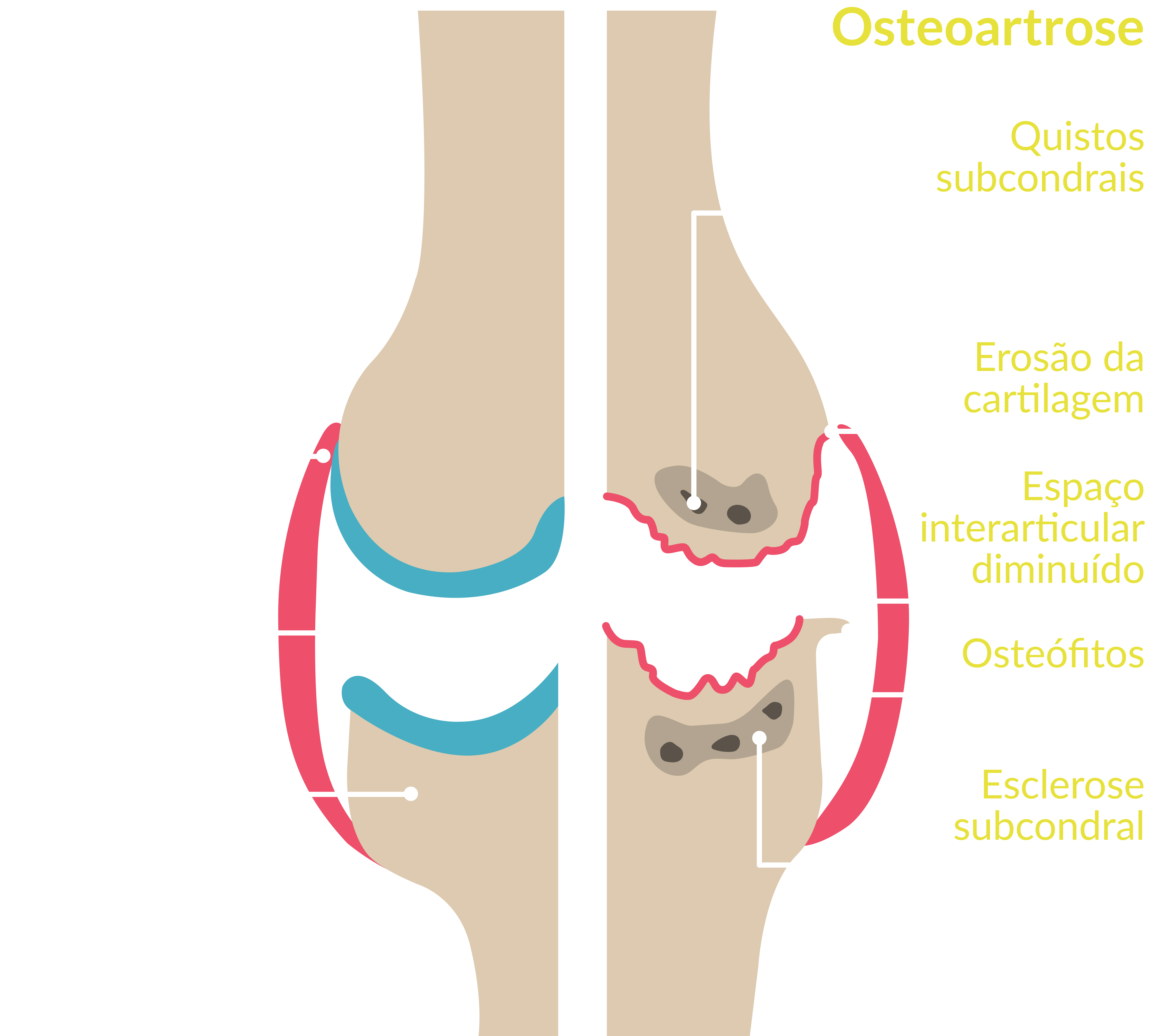 Amedial Plus - Tripla Ação